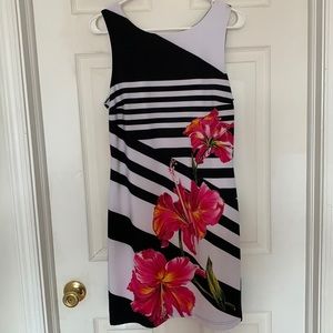 Frank Lyman floral striped dress
